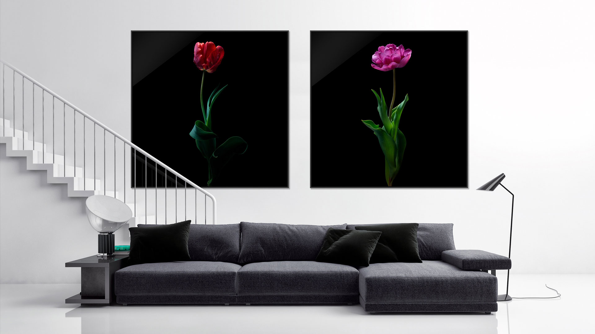 Fine art prints